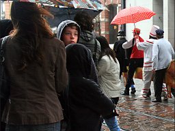 IMG_9301-R