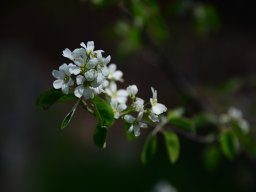 DSC_0361