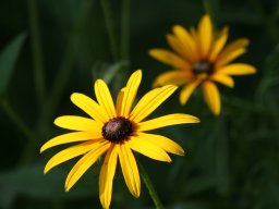 IMG_1565
