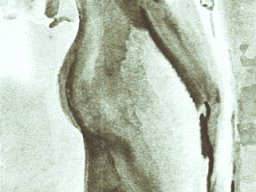 054