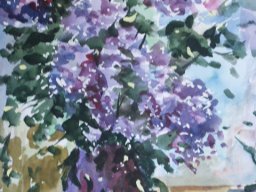 PICT0042